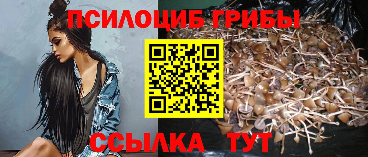 Ржев  Галлюциногенные грибы GOLDEN TEACHER  купить наркотик  Вход с VPN  Псилоцибиновые грибы GOLDEN TEACHER 
